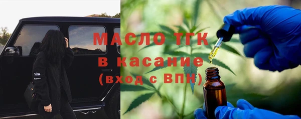 твердый Арсеньев