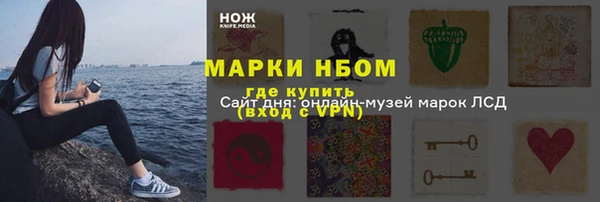 твердый Арсеньев