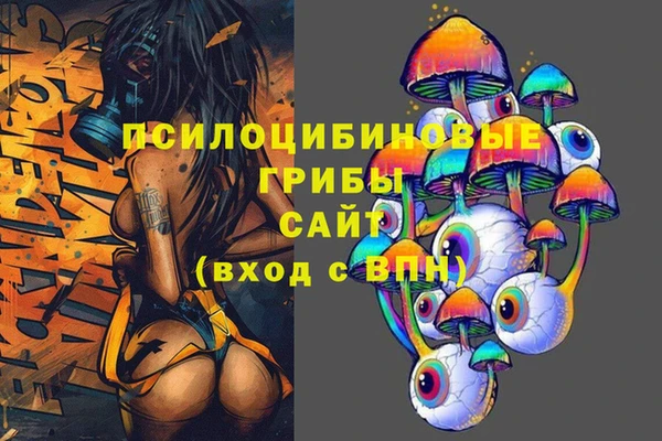 гашик Армянск