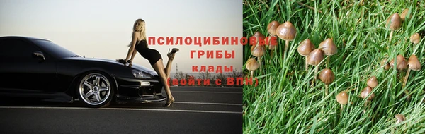 твердый Арсеньев