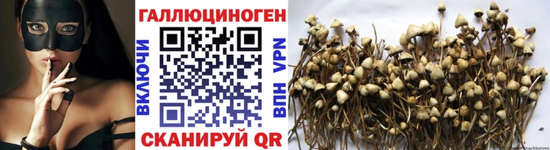 Псилоцибиновые грибы Magic Shrooms  где найти наркотики  Похвистнево 